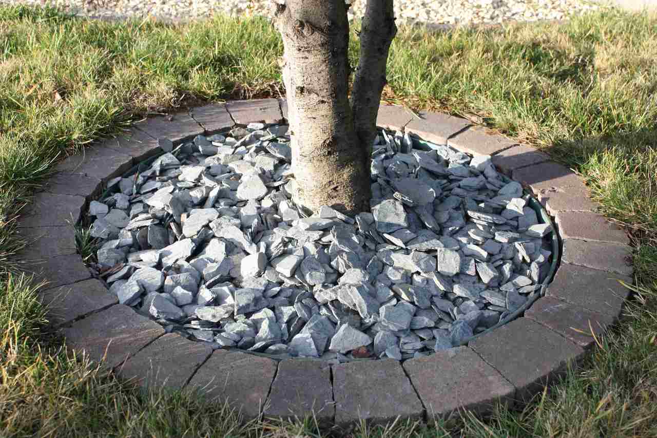 kamienie ozdobne wokół drzewa