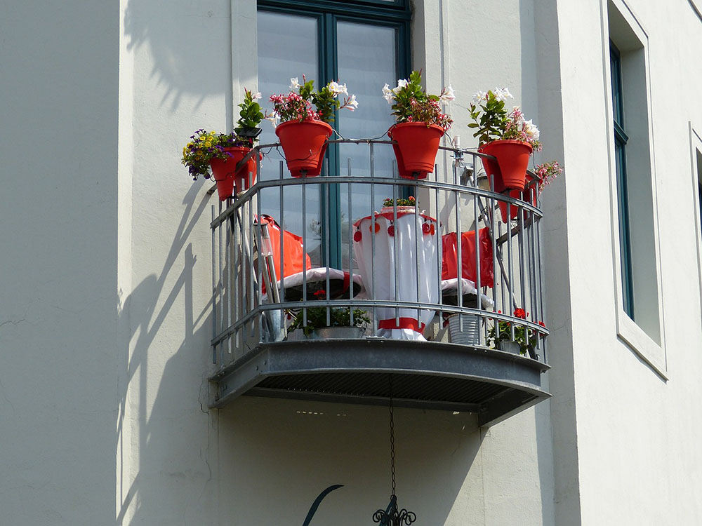 Popularne kwiaty na balkon gethome.pl